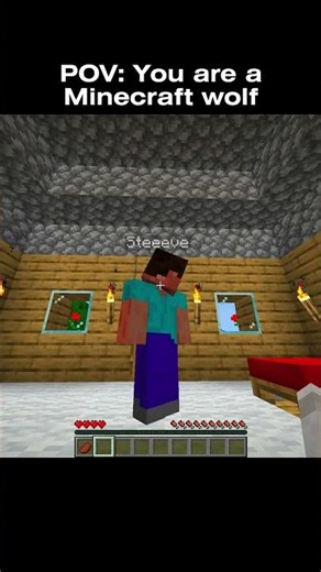 POV: You Are a Minecraft Wolf… 💔