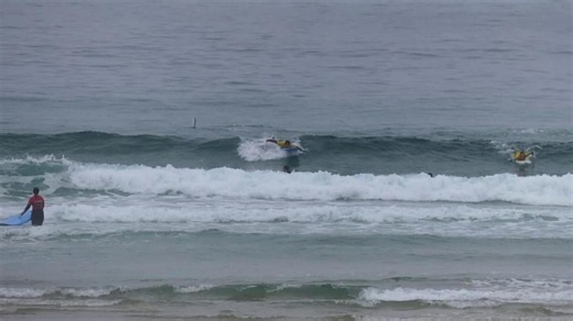 Fin-credible! Huge bluefin tuna leaps out of sea in front of surfers