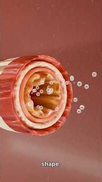 This Alloy Bends Back to Normal Every Single Time #physics #innovation