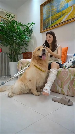 रानी को अपनी मालकिन की बहुत फिकर है ☺️ #dog #animallovers #petlovers