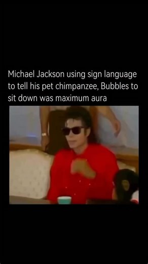 LostTapeHistory on Instagram: "There’s an iconic clip of Michael Jackson casually using sign language to tell his pet chimpanzee, Bubbles, to sit down, and it perfectly captures his unique aura. He does it effortlessly, without raising his voice or making a scene, and Bubbles immediately understands and obeys, which only adds to how surreal the moment feels. Fans love it because it shows MJ’s deep bond with animals and his quiet, almost mystical presence — he didn’t need to prove anything, the r