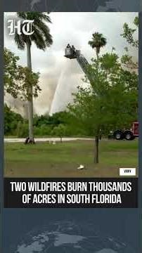 South Florida In Flames: Everglades Inferno Triggers Major Firefighting Operation | #shorts