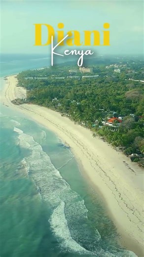 This is Your Sign to Visit Diani Beach, Kenya 🇰🇪