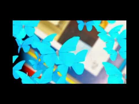 Butterfly Effect - FBLA 2026 Digital Video