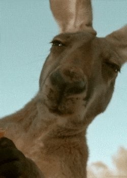 @keysobased @ProdByClover What if the person retweets Soft Gay porn tho