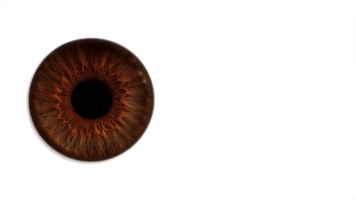 #кариеглаза #глаза | Different Eye Color