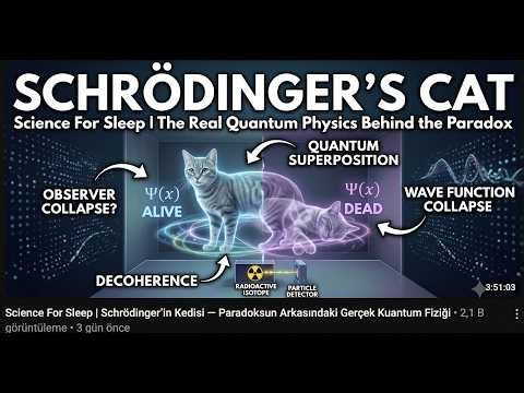 Schrödinger’s Cat | The Real Quantum Physics Behind the Paradox