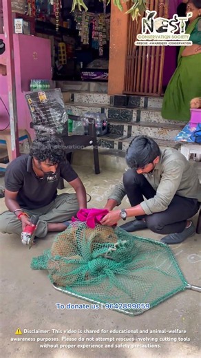 Trapped in an Iron Ring: A Life-Saving Dog Rescue 🐕❤️#nestconservationsociety #animals #saveanimals