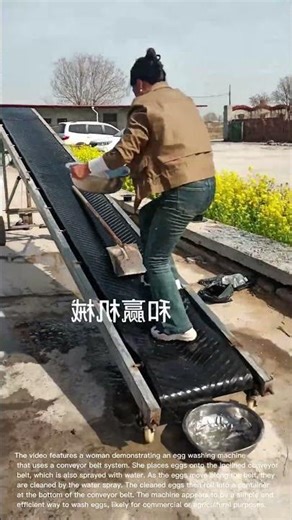 Egg Washing Machine: Woman Demonstrates Conveyor Belt System for Cleaning Eggs