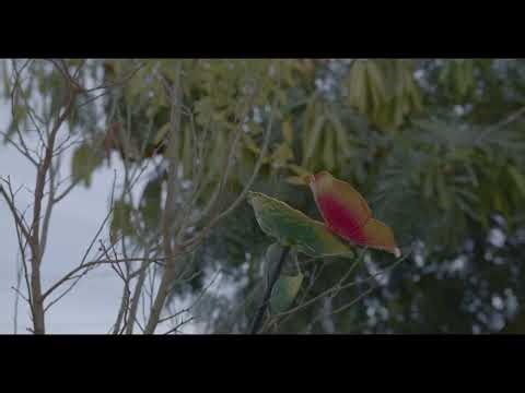 The Third Edition Teaser
