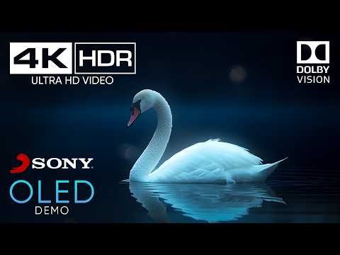 World’s Most Beautiful Nature 4K HDR 60fps OLED | Cinematic video for display test (8K/4K TV)