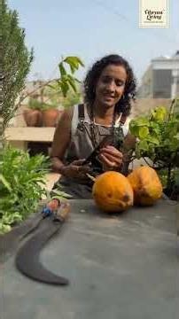 Cutting a Tender Coconut Isn't as Hard as You Think | Vibrant Living