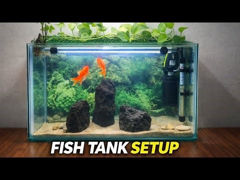 Fish Tank Setup at Home 🏠 | Beginner Friendly Guide 😊