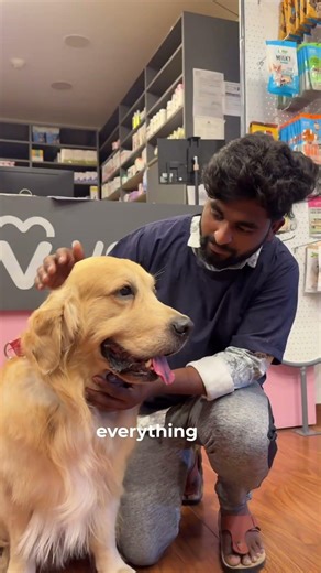 Oscar Ate Chocolate at 2 AM 😭 | Emergency Rush to Vetic 24x7 Vet