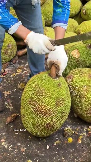 Start local. Think global. Build green businesses