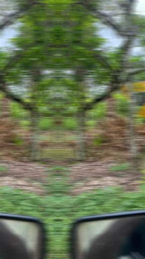 🥷🏾CODE MAN🥷🏾 (@code.man81)’s videos with Break the waist down - odperps