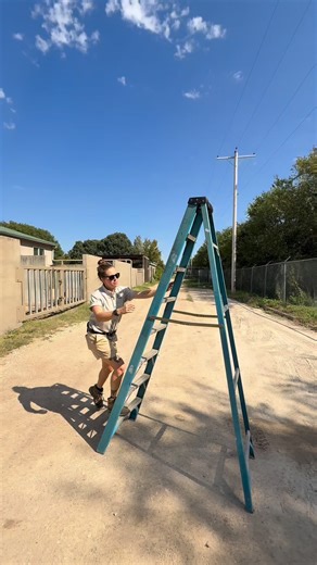 550K views · 14K reactions | Did you know? 鍊 Pygmy hippos are much less aggressive than their larger Nile cousins! They’re shy, solitary, and prefer to spend their time quietly in the water or tucked away in the forest | Tanganyika Wildlife Park | Facebook