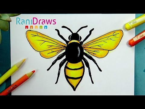 How to draw a BEE - Step by step