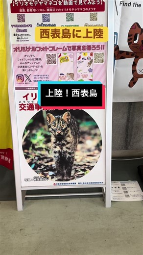 TikTokでみんなに知って欲しいことアップさんをチェック！