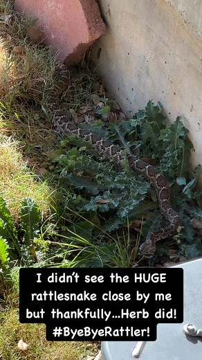 Jennifer England Allen on Reels