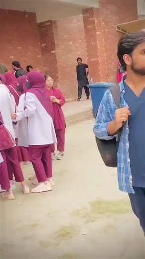 Exploring College Life Experiences