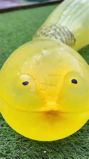 Inflating Fun with Toys: Snake, Mouse, Fish, and Dog