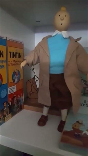 Collection dvd tintin