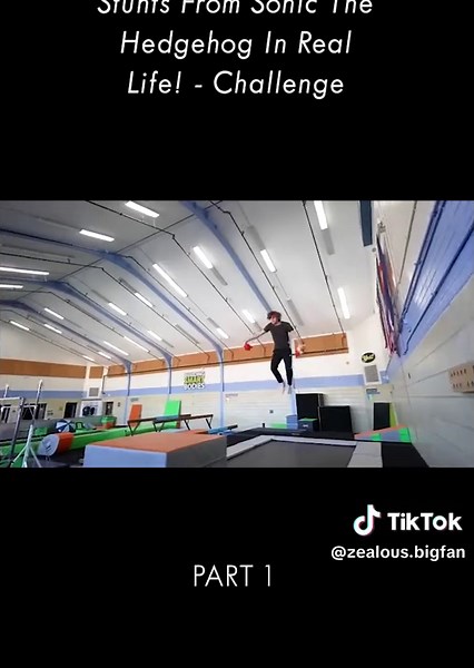 Stunts From Sonic The Hedgehog In Real Life! - Challenge-part 1