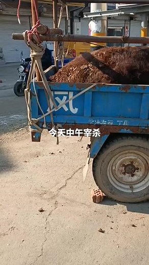 胡HZ在抖音记录美好生活20240125