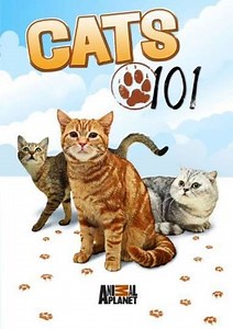 Cats 101 (2008-2012) - TV Show