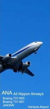 B738 ANA JAL ボーイング737 鋭いエンジン音 羽田空港 着陸 Boeing 737-800 Haneda Airport #shorts #planespotting #b737