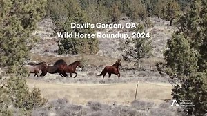 4.9K views · 183 reactions |  This week at the Devil's Garden, CA,...