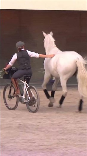 #chevaux #horse #equestrian #equitation #dressage #spectacle #show #amazing #incroyables