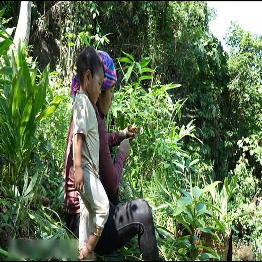 4.9K views · 90 reactions | Harvesting ginger garden and trapping giant fish to cook for little daughter #viralreels #trendingvideos #lifestyle #rurallife | Master Vid | Facebook