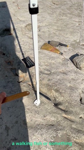 Dinosaur Crime Scene by Glen Kuban