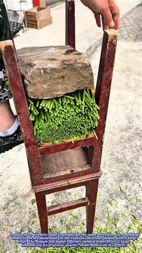 Smart Vegetable Cutting Method! A Little Knowledge Makes You Smarter #farmingtips #short