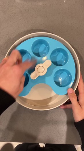 Do you add things to your dog’s kibble? If so, what’s your go-to? 👀🐾 #thebkpets #kibbletoppers #healthykibbletoppers | The BK Pets