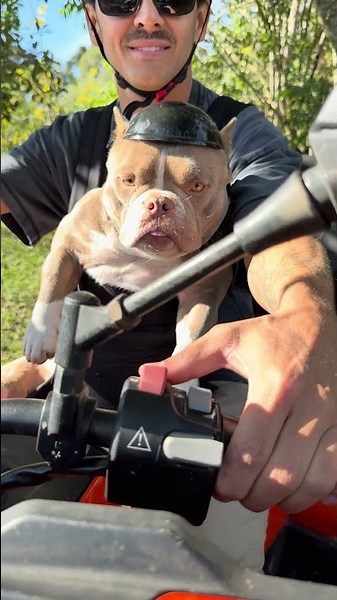 Uma experiência inesquecível 🤩🐾 Passeio de Quadriciclo com a Marê 🐾