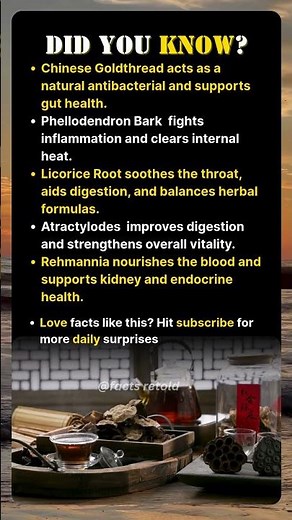 Medicinal Herbs Western Medicine NEVER Talks About 😳