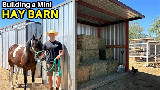 Building a Mini Hay Barn & Project Updates