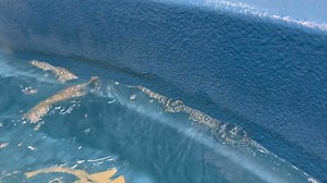 Lorelei Wilfong on Reels