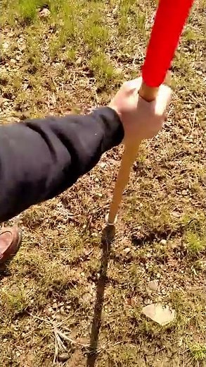 How to set staples for straw blanket rolls