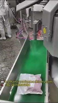 Fully Automatic Packaging Line | Bowl Elevator + Pouch Vacuum Machine