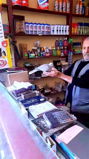 Découvrez le défi d'amour en Algérie !