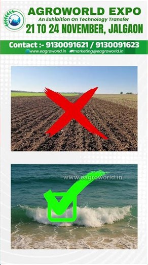 What is Mussel Farming? | How is Mussel Farming Done? | Mussel Farming Process, Profit & Business...