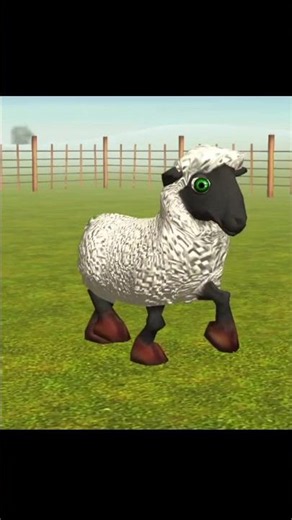 El Pollito Pío 3d - Canciones de la Granja de Zenón Los Pollitos dicen Pío Pío#shorts #viralshorts