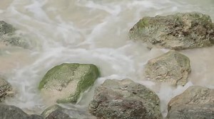 51K views · 843 reactions | Check out our behind-the-scenes peek into the cockpit as our ace pilots approach one of the world's trickiest runways - St. Maarten's! | KLM UK | Facebook