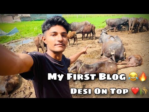 My First Funny Blog Video 😂🌾🔥#comedy #blog #desi #explorepage #foryoupage #gamaaale