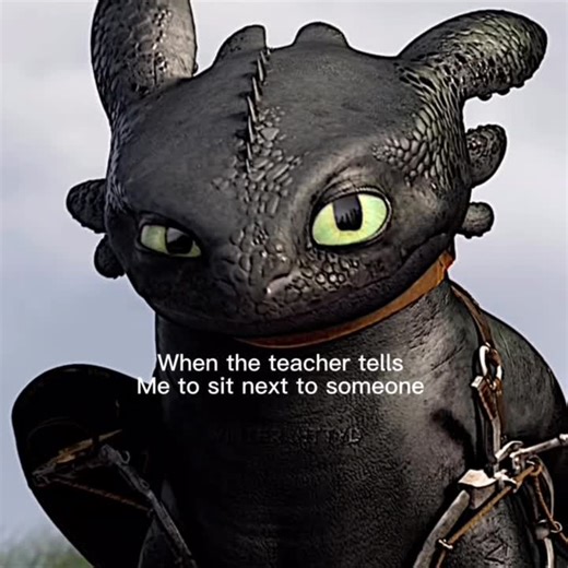 Mastering the Art of Flying with Toothless