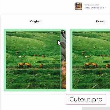 Removing Objects using AI in Images using Cutout Pro